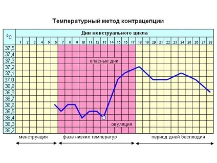 Як розрахувати небезпечні дні для зачаття (Температурний метод контрацепції) Як розрахувати небезпечні дні для зачаття