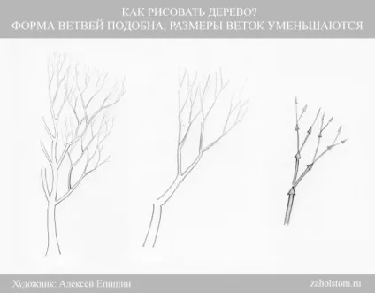 Як малювати дерево
