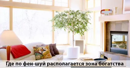 Зона багатства по фен-шуй залучаємо в будинок гроші (гроші) Зона багатства по фен-шуй залучаємо в будинок гроші