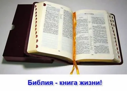 Життя з богом, сенс життя (життя) Життя з богом, сенс життя