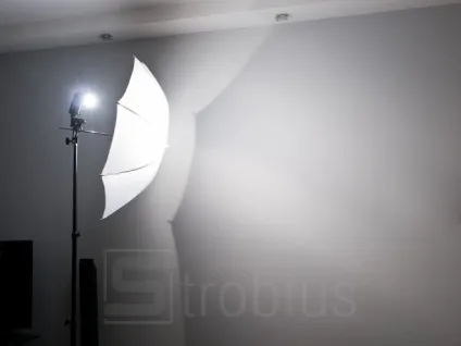 Парасольки на просвіт і на відбиття, strobius - сайт про фото, спалахи і світло (відображення) Парасольки на просвіт і на відбиття, strobius - сайт про фото, спалахи і світло
