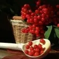 Як зробити домашню сметану - опис, інструкція з приготування, все (зробити) Як зробити домашню сметану - опис, інструкція з приготування, все