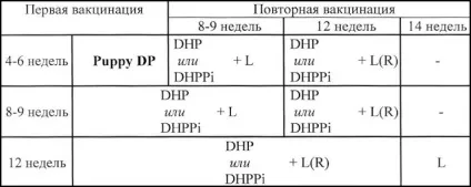 Як зробити щеплення собаці, клуб любителів домашніх тварин діаніка (зробити щеплення собаці) Як зробити щеплення собаці, клуб любителів домашніх тварин діаніка