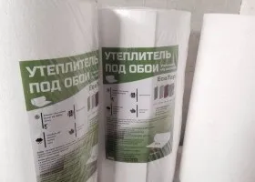Як зняти шпалери зі стін своїми руками (демонтаж) Як зняти шпалери зі стін своїми руками