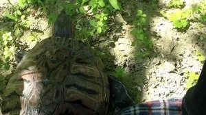 Як спаровуються черепахи особливості, правильний догляд і вирощування черепах (видів цих тварин) Як спаровуються черепахи особливості, правильний догляд і вирощування черепах