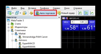 Як встановити радник в МТ5