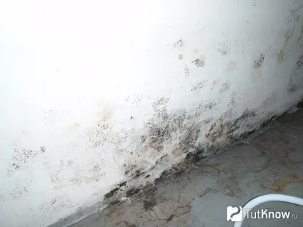 Як прибрати грибок у ванній, причини та способи боротьби з цвіллю у ванній (грибок) Як прибрати грибок у ванній, причини та способи боротьби з цвіллю у ванній