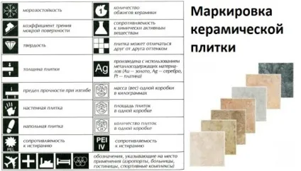 Як вибрати керамічну плитку для ванної (ванною) Як вибрати керамічну плитку для ванної