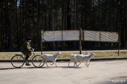 Як виглядають селища для еліти під мінському-Салідарнасць (футболіст Тимофій Калачов) Як виглядають селища для еліти під мінському-Салідарнасць