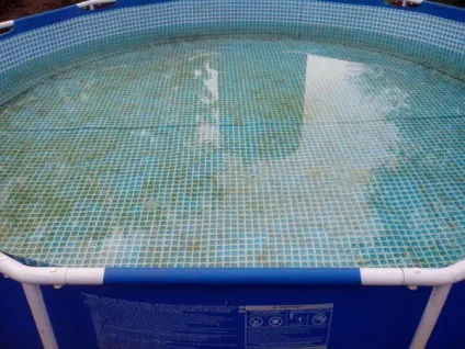 Як ви підтримуєте чистоту води в дачному басейні відповіді експертів