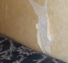 Як відновити порвані шпалери (шпалери) Як відновити порвані шпалери