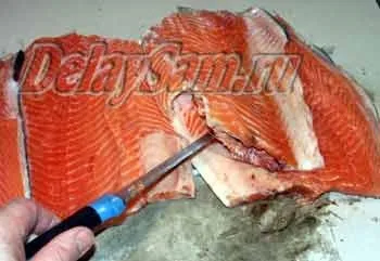 Як засолити сьомгу, форель, нерки, кижуча, горбушу, кету (горбуша) Як засолити сьомгу, форель, нерки, кижуча, горбушу, кету