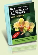 Калатея - сандериана, каталог кімнатні рослини і квіти (кімнатні) Калатея - сандериана, каталог кімнатні рослини і квіти