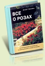Калатея - сандериана, каталог кімнатні рослини і квіти (калатея) Калатея - сандериана, каталог кімнатні рослини і квіти