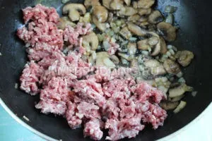 Картопляна запіканка з грибами і фаршем в духовці, як приготувати на (фаршем) Картопляна запіканка з грибами і фаршем в духовці, як приготувати на