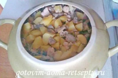 Картопля з грибами і куркою в горщику - з фото (горщику) Картопля з грибами і куркою в горщику - з фото