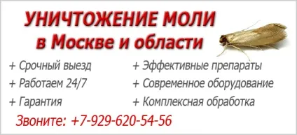 Картопляна міль і методи боротьби з нею (боротьби) Картопляна міль і методи боротьби з нею