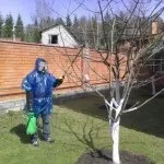 Коли обприскувати дерева і чагарники навесні від шкідників (шкідників) Коли обприскувати дерева і чагарники навесні від шкідників