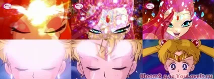 Вінс клуб і аніме подібності деяких кадрів (аніме Heartcatch Precure) Вінс клуб і аніме подібності деяких кадрів