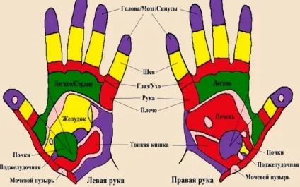 Китайська медицина точки на тілі, що відповідають за здоров'я - головний езотеричний ресурс рунета (медицина) Китайська медицина точки на тілі, що відповідають за здоров'я - головний езотеричний ресурс рунета