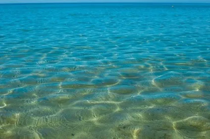 Коли починає цвісти море в Джемете