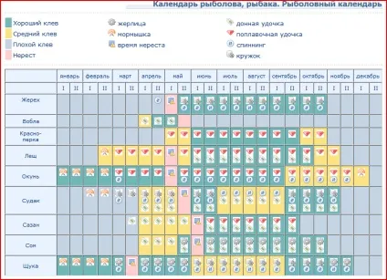 Клювання сома по місяцях особливості риболовлі по місяцях (клювання) Клювання сома по місяцях особливості риболовлі по місяцях