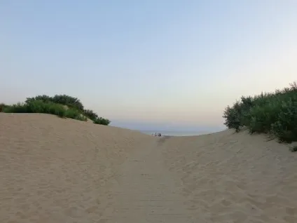 Коли починає цвісти море в Джемете