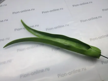 Керамічна флористика створюємо орхідею цимбидиум (орхідею) Керамічна флористика створюємо орхідею цимбидиум
