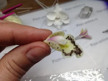 Керамічна флористика створюємо орхідею цимбидиум (орхідею) Керамічна флористика створюємо орхідею цимбидиум