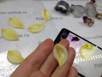 Керамічна флористика створюємо орхідею цимбидиум (орхідею) Керамічна флористика створюємо орхідею цимбидиум