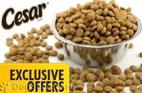 Корм для собак цезар (cesar)