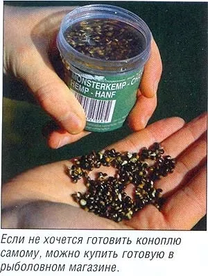 Конопля для риболовлі, інформаційний портал про рибалку (конопля) Конопля для риболовлі, інформаційний портал про рибалку