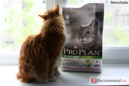 Корм для кішок pro plan sterilised - «чому на упаковці кіт такий сумний! Все не так! Порівняння (sterilised) Корм для кішок pro plan sterilised - «чому на упаковці кіт такий сумний! Все не так! порівняння