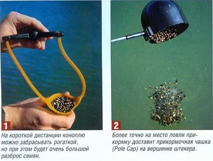 Конопля для риболовлі, інформаційний портал про рибалку (Застосовуючи коноплю як) Конопля для риболовлі, інформаційний портал про рибалку