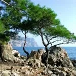 Кримські гори