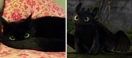 Кот-гітлер, кіт-чаплин і інші забавні коти, схожі на когось ще