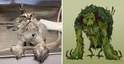 Кот-гітлер, кіт-чаплин і інші забавні коти, схожі на когось ще