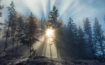 краси туману