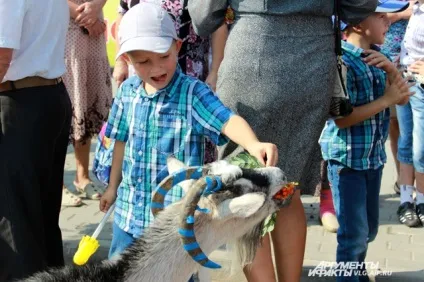 Коза як символ