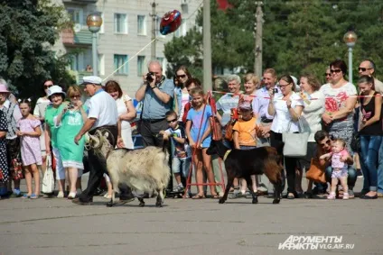 Коза як символ