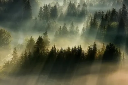 краси туману