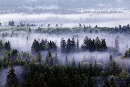краси туману