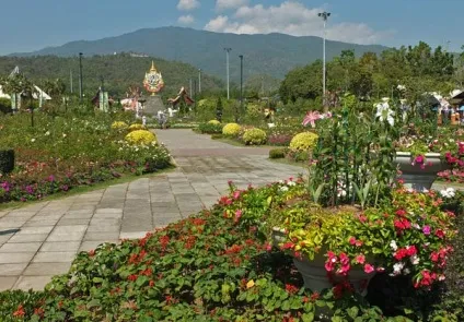 Гарні клумби і квітники парку royal flora ratchaphruek в Чиангмає, мої ідеї для дачі та саду (royal) Гарні клумби і квітники парку royal flora ratchaphruek в Чиангмає, мої ідеї для дачі та саду
