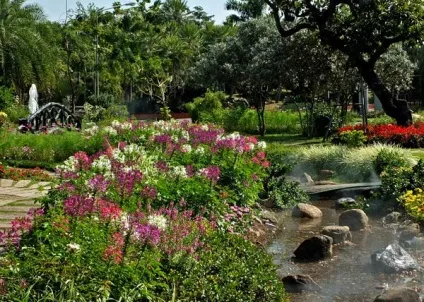 Гарні клумби і квітники парку royal flora ratchaphruek в Чиангмає, мої ідеї для дачі та саду (клумби) Гарні клумби і квітники парку royal flora ratchaphruek в Чиангмає, мої ідеї для дачі та саду