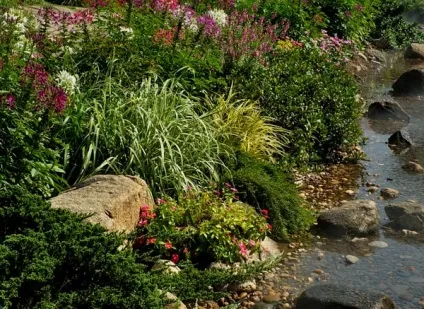 Гарні клумби і квітники парку royal flora ratchaphruek в Чиангмає, мої ідеї для дачі та саду (парку) Гарні клумби і квітники парку royal flora ratchaphruek в Чиангмає, мої ідеї для дачі та саду