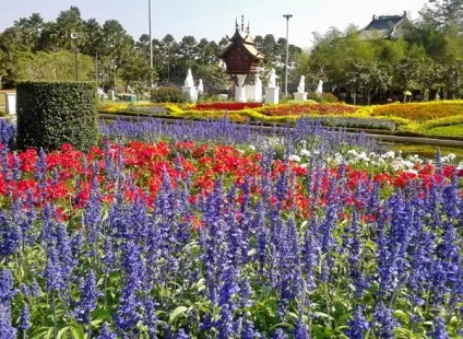 Гарні клумби і квітники парку royal flora ratchaphruek в Чиангмає, мої ідеї для дачі та саду (клумби) Гарні клумби і квітники парку royal flora ratchaphruek в Чиангмає, мої ідеї для дачі та саду