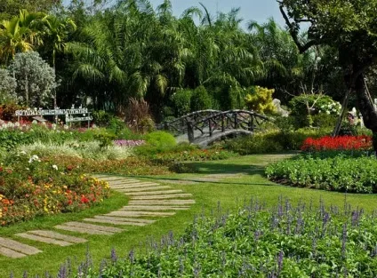Гарні клумби і квітники парку royal flora ratchaphruek в Чиангмає, мої ідеї для дачі та саду (парку) Гарні клумби і квітники парку royal flora ratchaphruek в Чиангмає, мої ідеї для дачі та саду