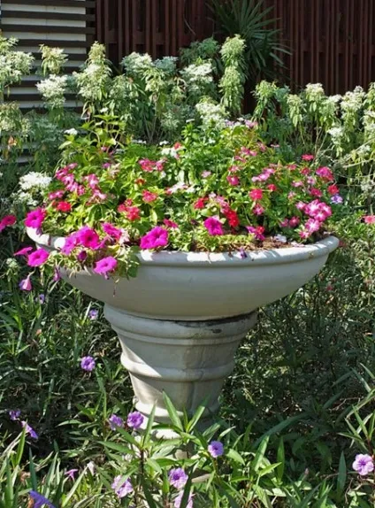 Гарні клумби і квітники парку royal flora ratchaphruek в Чиангмає, мої ідеї для дачі та саду (royal) Гарні клумби і квітники парку royal flora ratchaphruek в Чиангмає, мої ідеї для дачі та саду