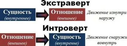 Хто такий екстраверт і інтроверт, ls