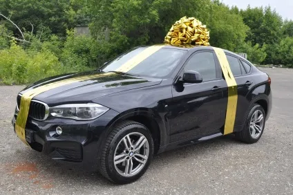 Купити великий подарунковий бант на машину в москві, прикраса автомобіля (білий сріблястий зелений синій) Купити великий подарунковий бант на машину в москві, прикраса автомобіля